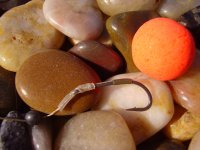 Esches Alternatives